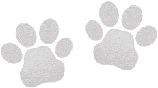 Decorative paw prints