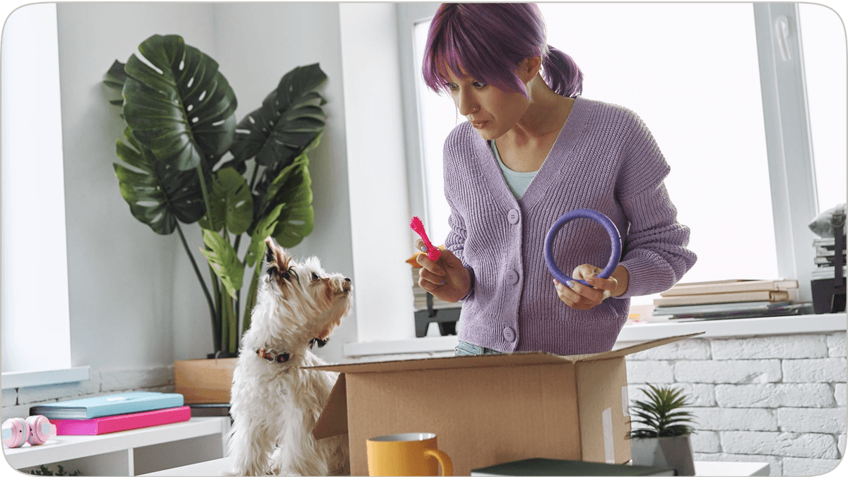 Shop for Pet Essentials in the Marketplace illustration